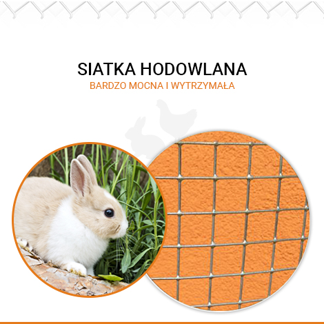Siatka hodowlana