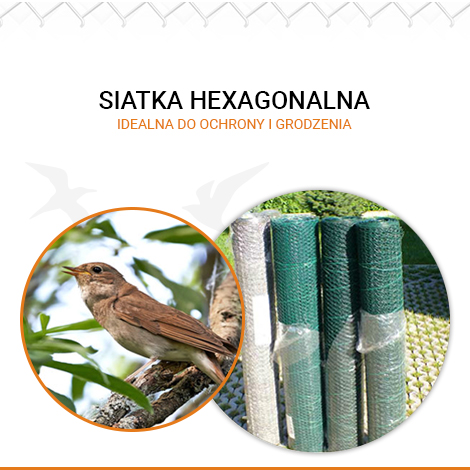Siatka hexagonalna