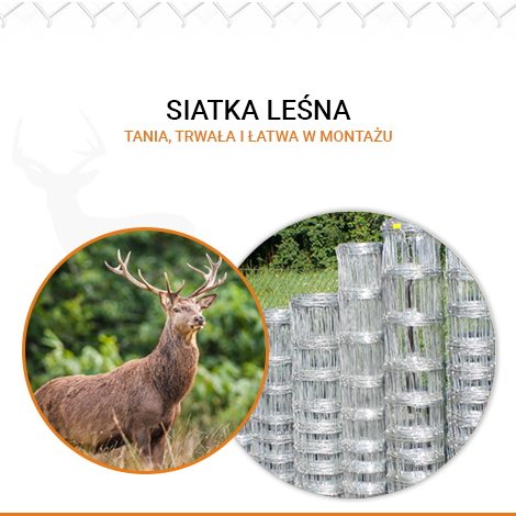 Siatka leśna